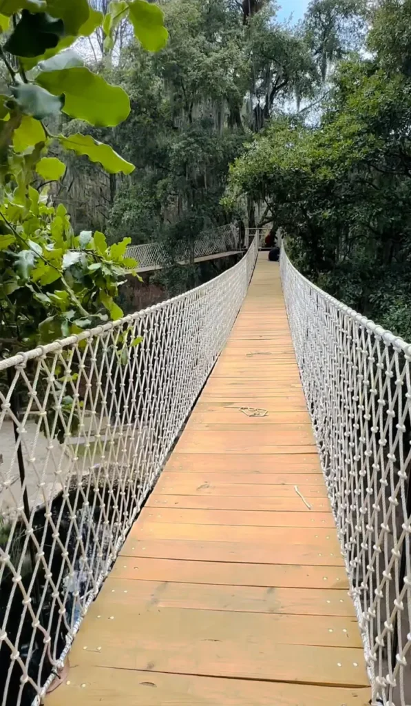 Puente Colgante