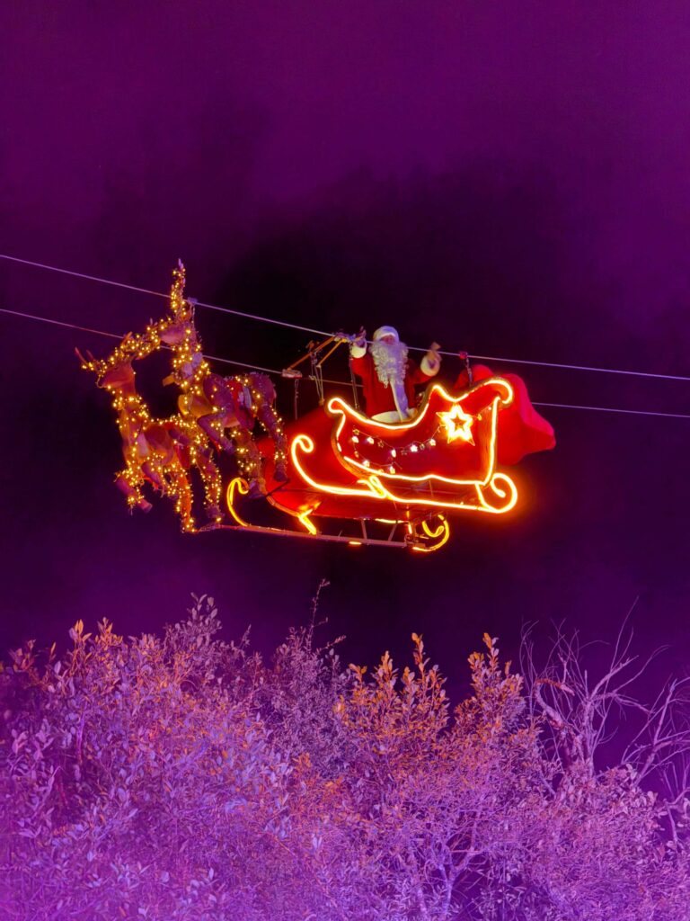 Vuelo de Santa Puebla 2024