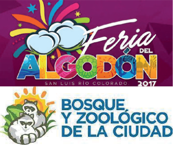 FeriaAlgodon_Cliente-1