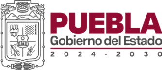 Puebla_cliente