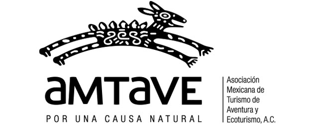 Imagen del logo de AMTAVE